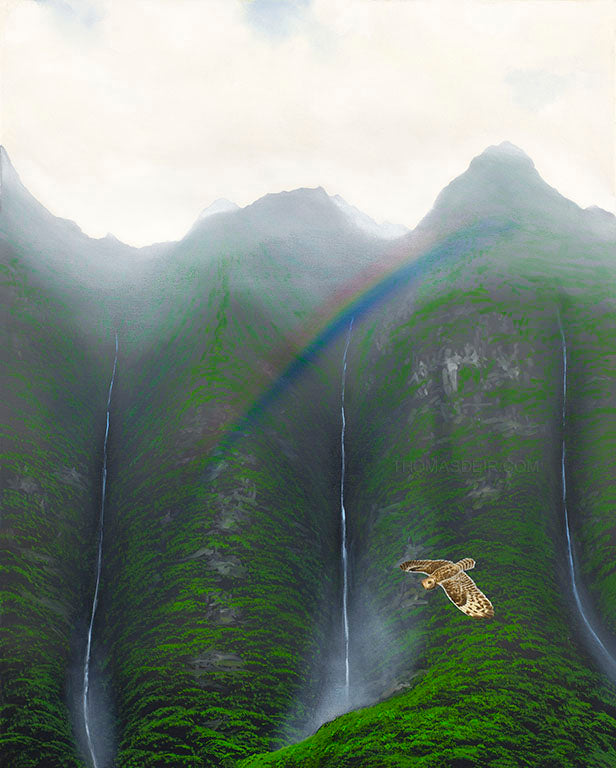 Koolau Waterfall Rainbow Pueo 24x30 Painting