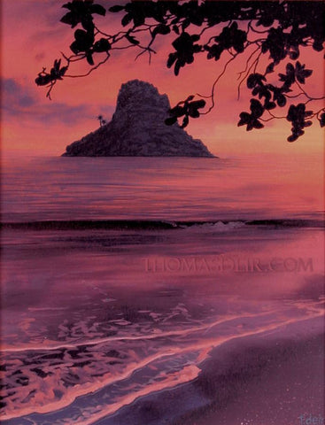 Chinaman's Hat Sunrise with Leaves Giclee and Metal Prints