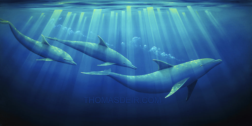 Emerald Forest Giclee