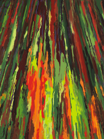 Eucalyptus Giclee Canvas Print or Metal Print