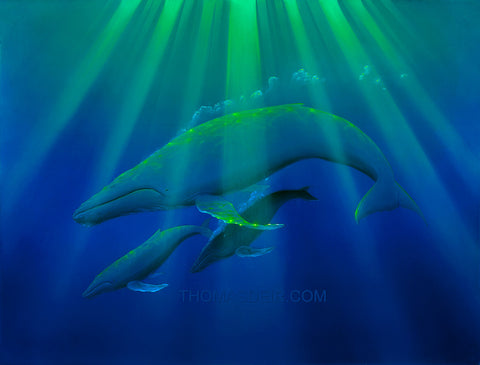Heavenly Humpback Whales Giclee Canvas Print or Metal Print