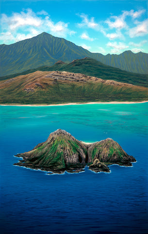 Lanikai Bird's Eye Giclee