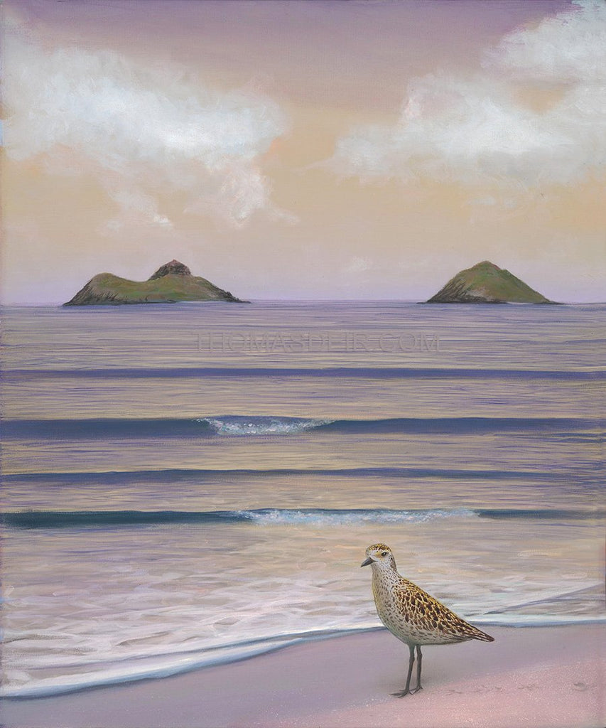 Lanikai Kolea Giclee Canvas Print or Metal Print
