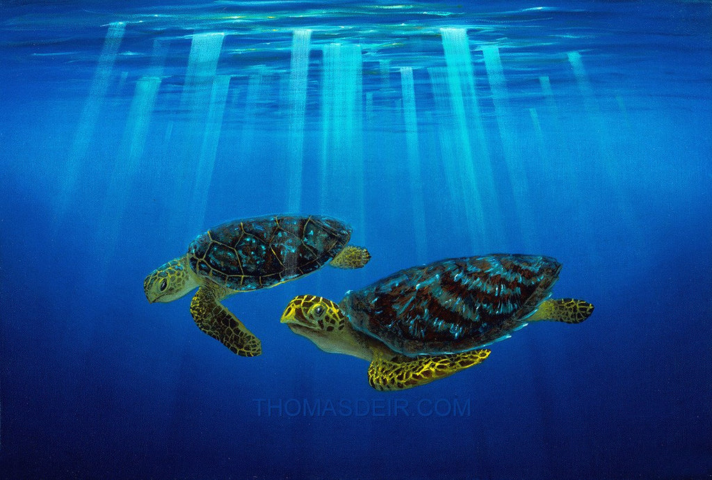 Turtle Friends Painting
