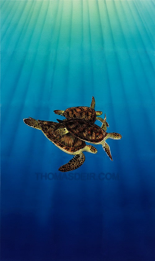 Turtle Trio Art Giclee Canvas Print or Metal Print