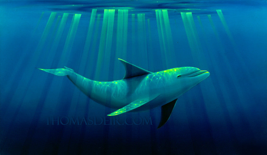 Basking Dolphin Painting by Hawaii Artist Thomas Deir