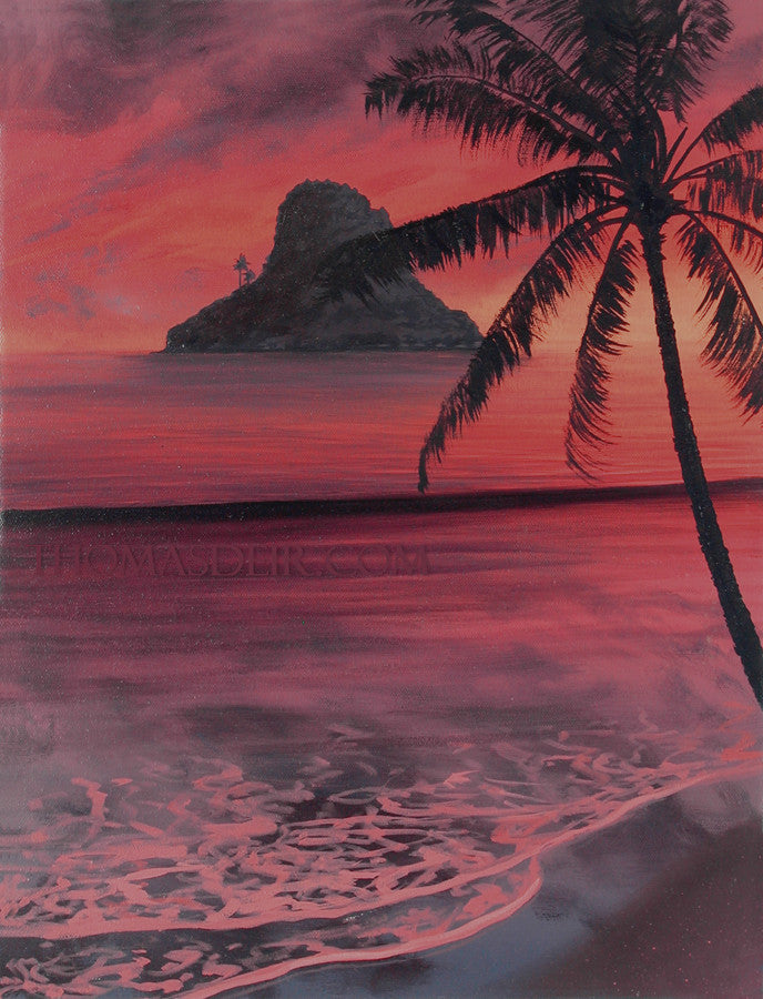 Chinaman's Hat Coconut Tree 14x18 Painting