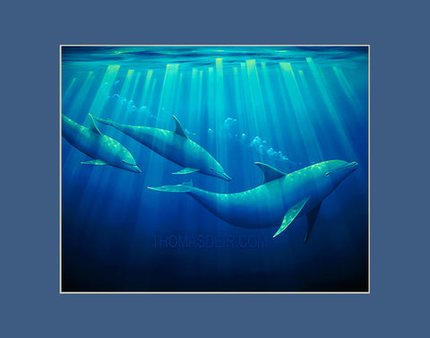 Emerald Forest Dolphins Hawaii art prints gift print