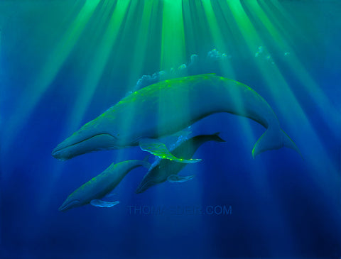 Heavenly Humpbacks Whale Giclee