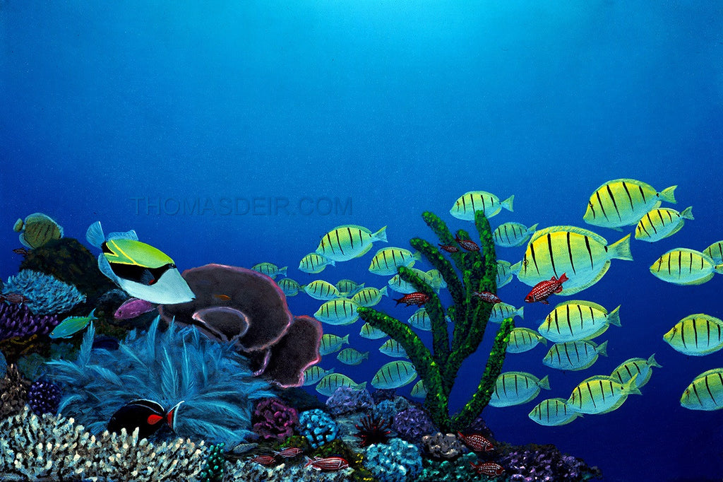 Humuhumu a Maninis 21x14 Painting