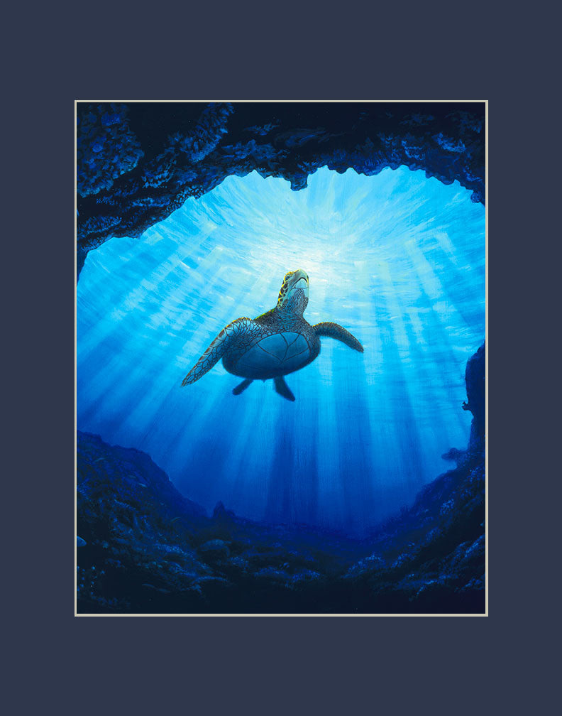 Kauai Turtle Cave Hawaii art prints gift print