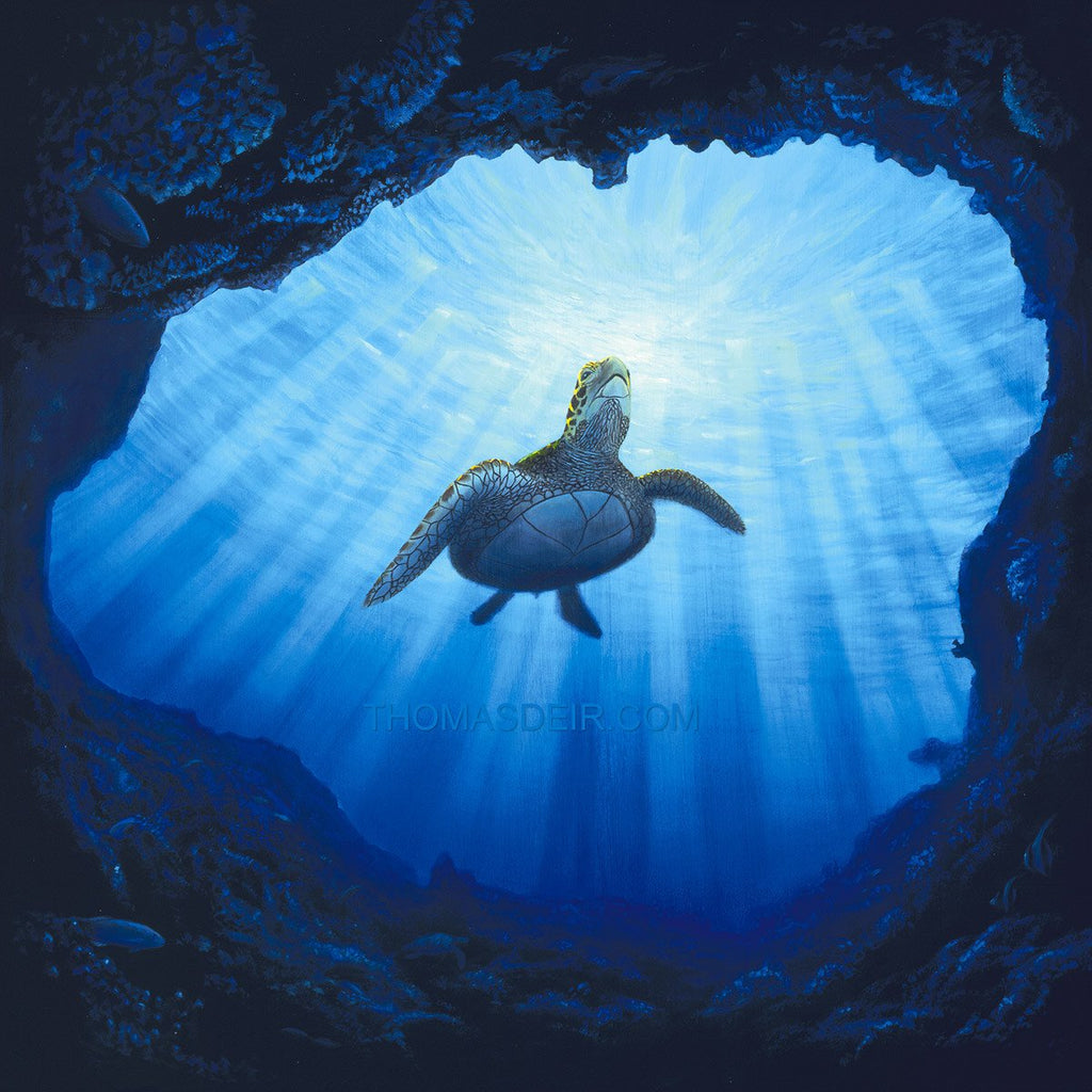 Kauai Turtle Cave 24x24 Painting