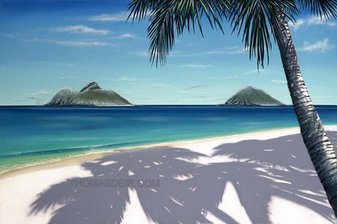 Lanikai Snow Painting by Hawaii Artist Thomas Deir