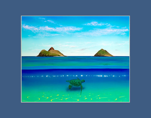 Lanikai Turtle Hawaii art prints gift print