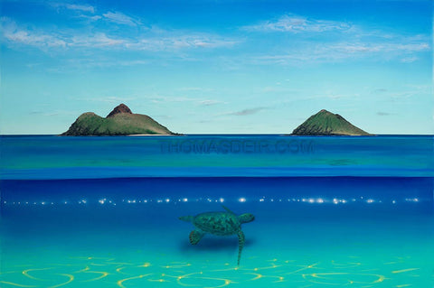 Lanikai Turtle 36x24 Painting
