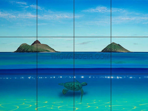 Lanikai Turtle
