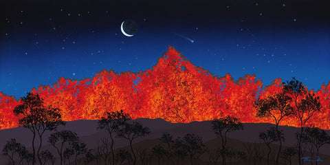 Lava 38 Hualalai Volcano 30x15 Painting