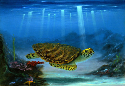 Myrtle the Turtle Giclee 