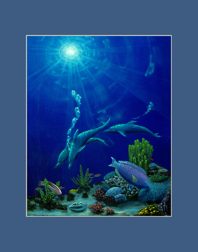 Reef Dolphins Hawaii art prints gift print