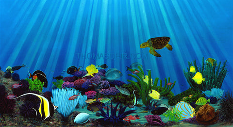 Save Our Reefs Art
