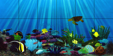 Save Our Reefs