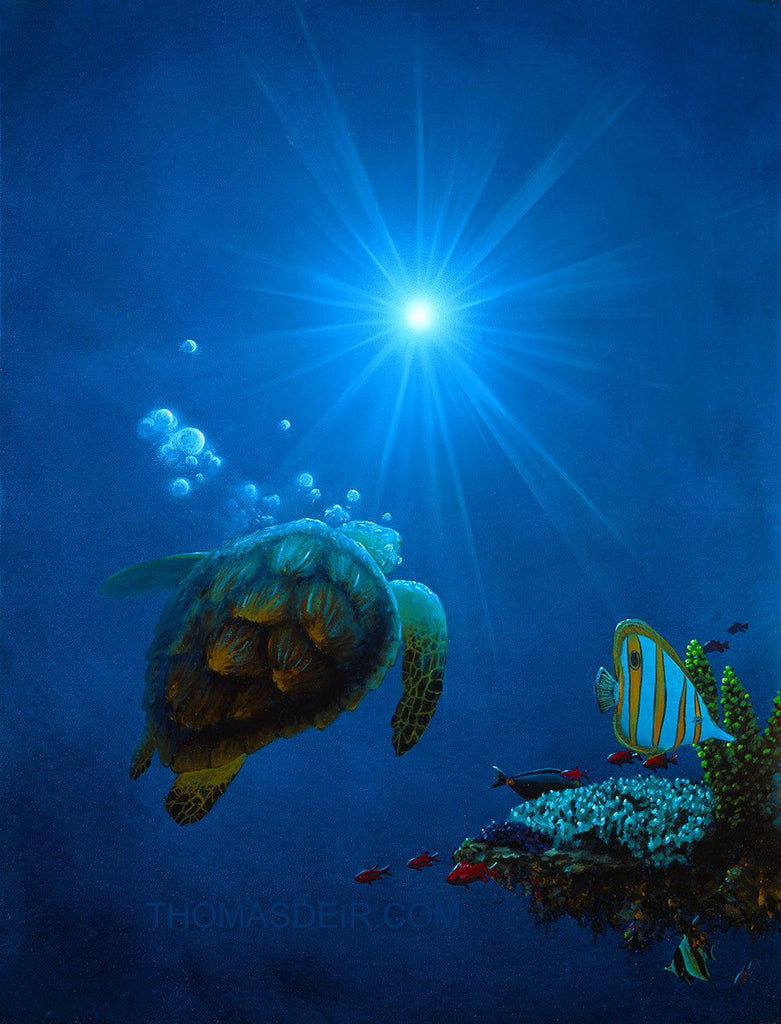 Sea the Light Turtle with Bubbles