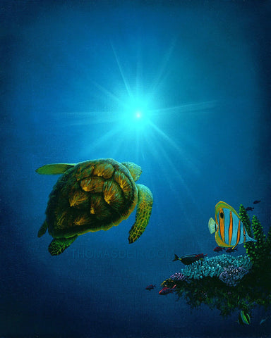 Sea the Light Turtle