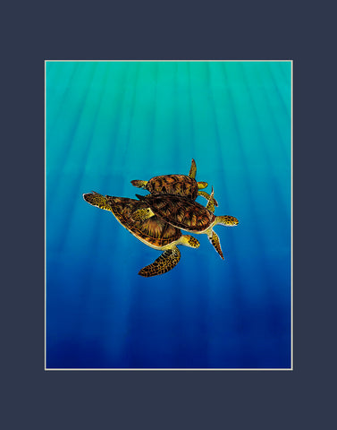 Turtle Trio Matted Print