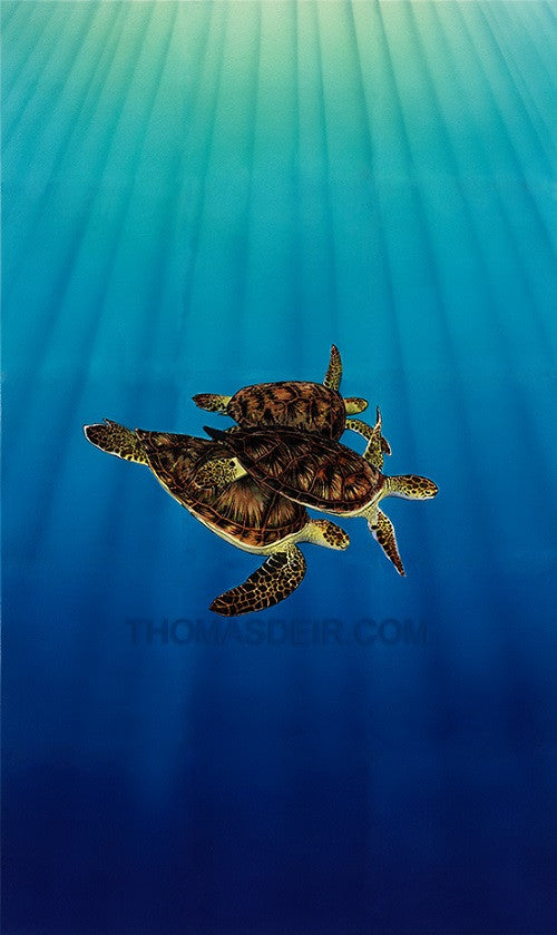Turtle Trio Art Giclee